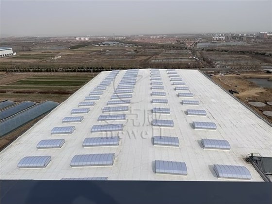 山東圓拱型采光排煙天窗